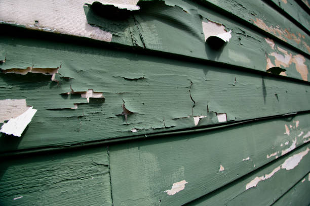 Best Storm Damage Siding Repair  in Brandon, FL