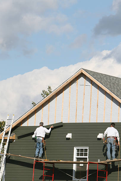 Best Steel Siding Installation  in Brandon, FL