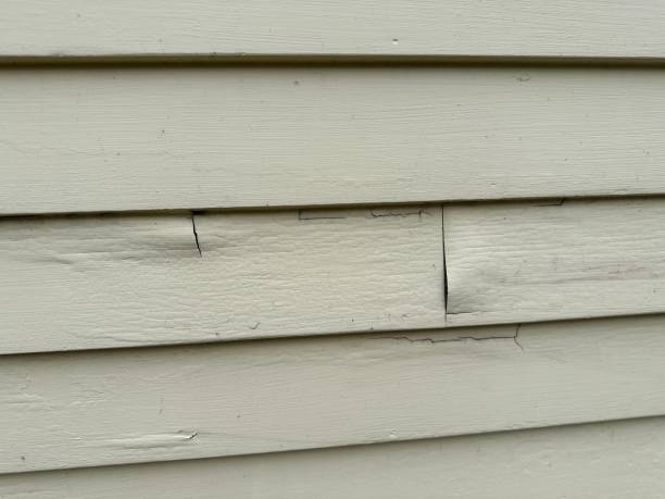 Best Engineered Wood Siding  in Brandon, FL